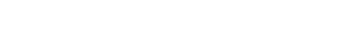 Venkov & Co.